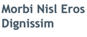 Morbi Nisl Eros Dignissim