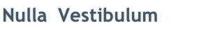 Nulla  Vestibulum